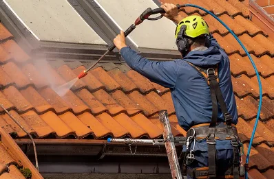 Démoussage et hydrofuge de toiture à Empeaux